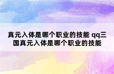 真元入体是哪个职业的技能 qq三国真元入体是哪个职业的技能